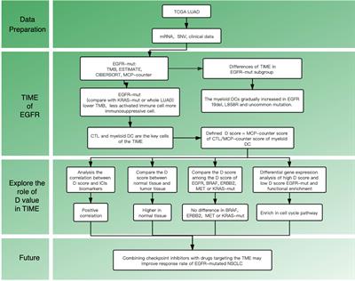 Exploration of the Tumor-Suppressive Immune Microenvironment by Integrated Analysis in EGFR-Mutant Lung Adenocarcinoma